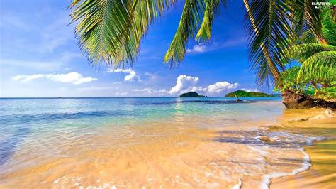 Islands, Tropical, sea, Palms, Beaches - Beautiful views wallpapers: 1920x1080