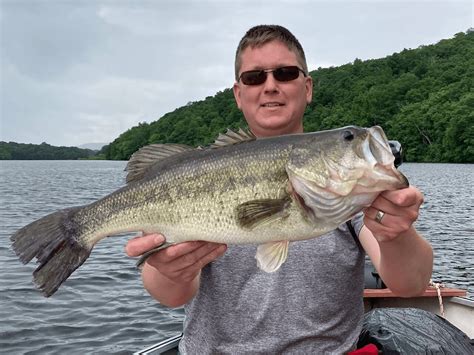 Largemouth Bass: Identification, Behavior Basics, and Best Lures and Techniques - USAngler