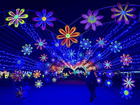 New DC Winter Lantern Festival Lights Up Northern Virginia