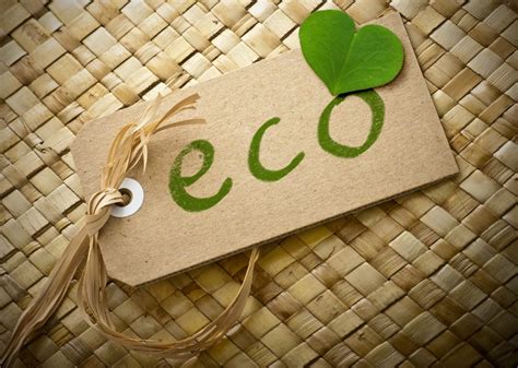 5 Eco-Friendly Logo Design Tips to Appeal to Green Consumers ...