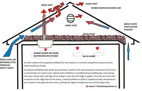 Understanding Attic Ventilation - FYI Home Inspections