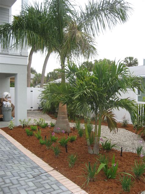 Luxury Home Gardens: LANDSCAPING AND HOME GARDENS WITH PALM TREES