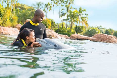 10 Things You Always Wanted to Know About the Discovery Cove Dolphin Swim