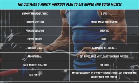 I’ve got this 6 month workout plan to get ripped and build lean mass. You can check it out. I ...