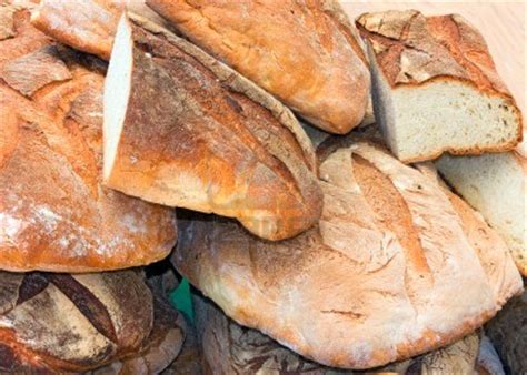 Types Of Italian Bread – Answers To All Types Of Questions | TypesOf.com