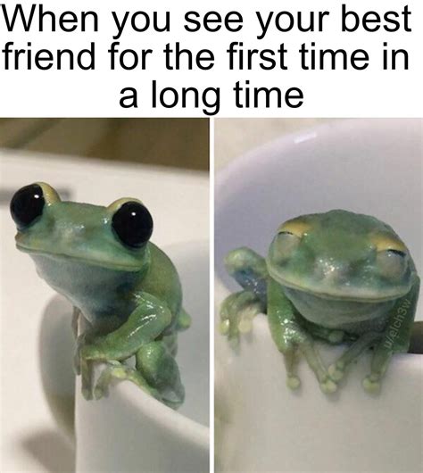 Good to see you again! : r/wholesomememes