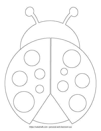 Ladybug Outline No Spots