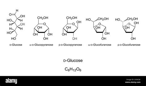 Glucose, monosaccharide, chemical structure. Simple sugar. Natta projection of open-chain D ...