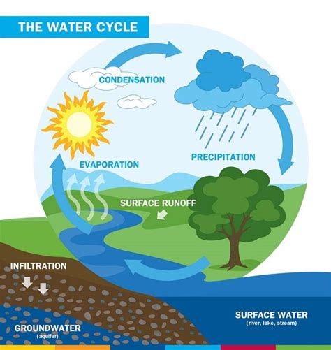 Explain The Diagram Of Water Cycle [diagram] Explain Water C