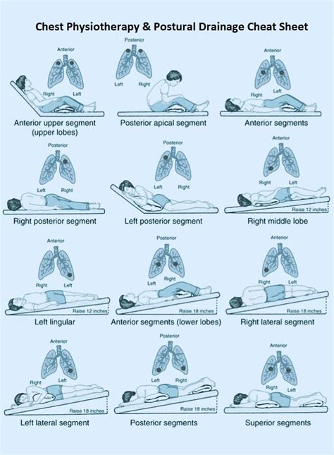 Chest Physiotherapy & Postural Drainage Positions - StudyPK