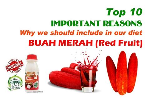 Top 10 Health Benefits of Buah Merah (Red Fruit) - Pinoy Recipe at iba pa