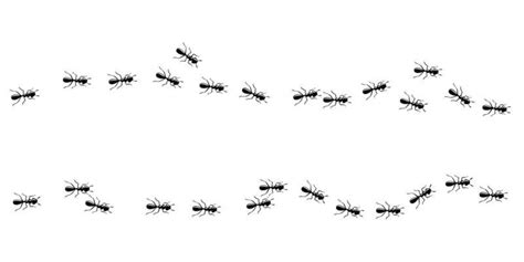 Marching Ants Vector Art, Icons, and Graphics for Free Download