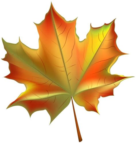 Autumn leaves background, Leaf background, Leaf clipart