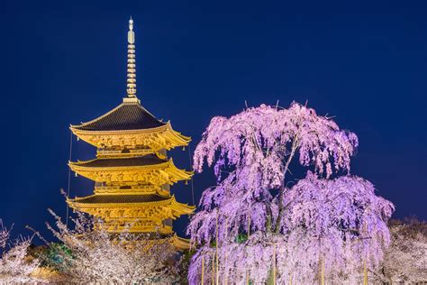 Toji Temple - GaijinPot Travel