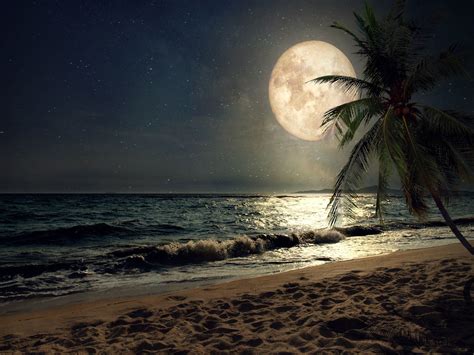 Moonlight Beach Wallpapers - Top Free Moonlight Beach Backgrounds - WallpaperAccess