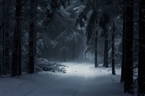 Winter Darkness Wallpapers - Wallpaper Cave