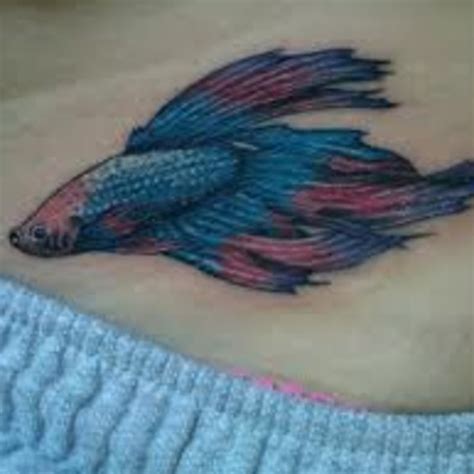 Betta Fish Tattoo Drawing