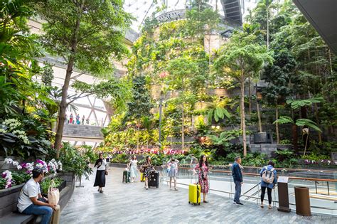 The Rain Vortex at Jewel Changi Airport, Singapore | WT Journal