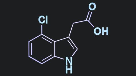 Indole-3-acetic acid 3D model - TurboSquid 1238355