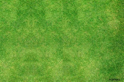 Green grass texture background top view - stock photo 1245023 | Crushpixel