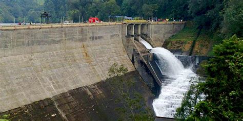 Mattupetty Dam Munnar (Timings, History, Entry Fee, Images ...