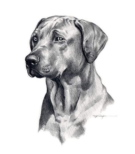 Drawing Dogs Pictures - Cliparts.co