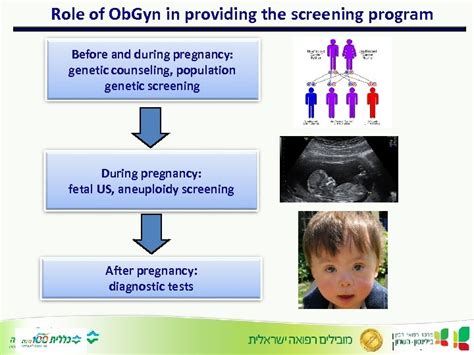 Aneuploidy screening in pregnancy — modern approaches Prof