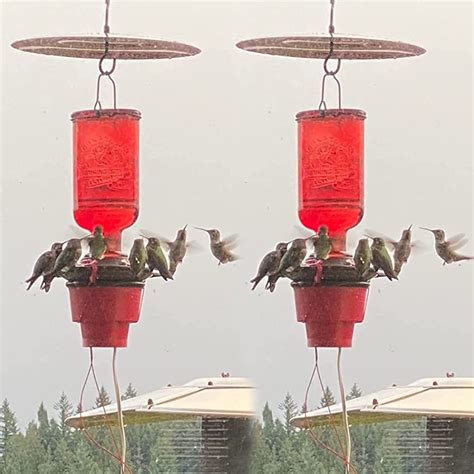 Hummingbird Feeder Heater, Heated Hummingbird Nepal | Ubuy