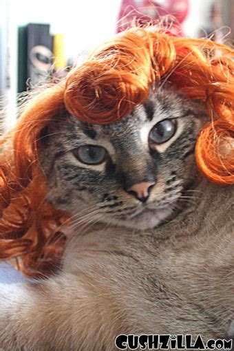 Cat Wig / Dog Wig: Cushzilla Curly Red Wig for Cats & Dogs