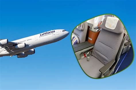 Lufthansa Business Class 2024: Overview of Business Class Flight on ...