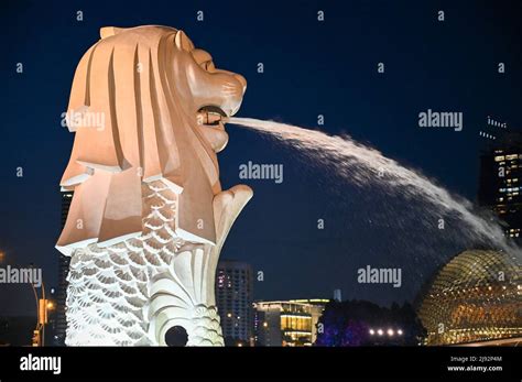 Merlion Park, a iconic statue in Singapore at Night. Merlion is a mythical creature with a lion ...