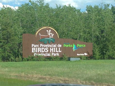 Birds Hill Provincial Park - Winnipeg: Get the Detail of Birds Hill ...