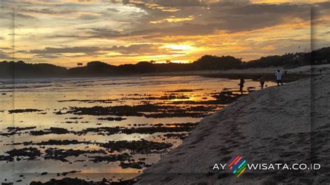 8 Aktivitas Seru Di Pantai Slili Yogyakarta Yang Wajib Dilakukan