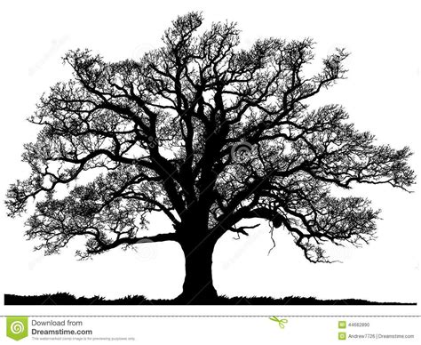 25+ bästa Oak tree silhouette idéerna på Pinterest | Trädtatueringar