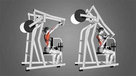 7 Best High Row Machine Alternatives (with Pictures!) - Inspire US