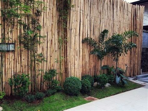 Should You Use Bamboo as a Fence? | Bria Homes