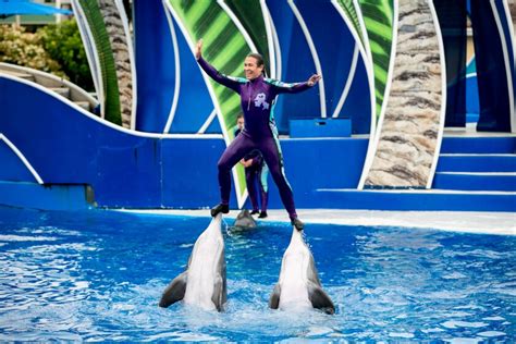 PETA claims victory after SeaWorld says no to trainers riding atop dolphins - Los Angeles Times