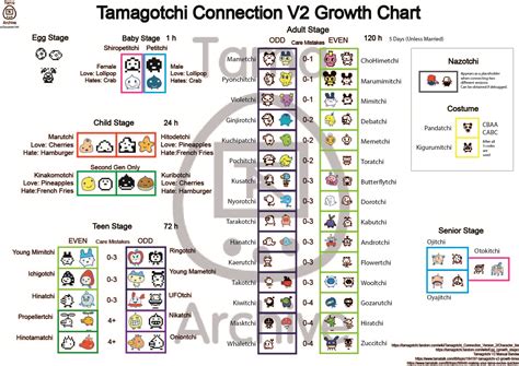 Tamagotchi Connection V2 Growth Chart - Tama Town