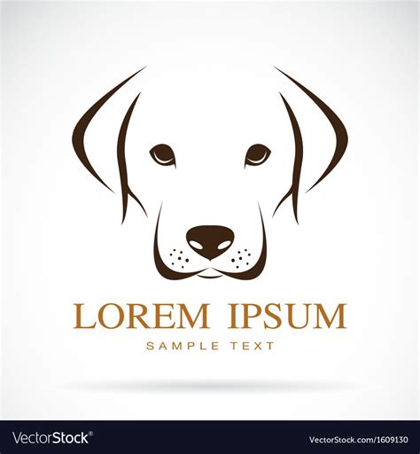 Dog labrador Royalty Free Vector Image - VectorStock