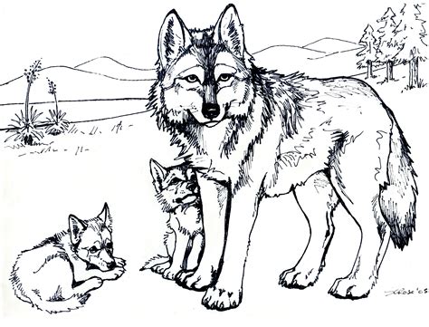 Free Printable Wolf Coloring Pages For Kids