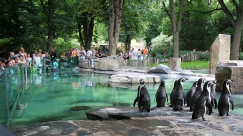 Prague Zoo - tickets, prices, discounts, hours, animals