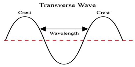 Characteristics of Transverse Waves - QS Study