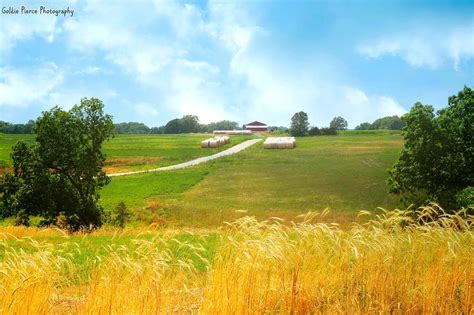 Iowa Country Landscape Photograph by Goldie Pierce - Fine Art America