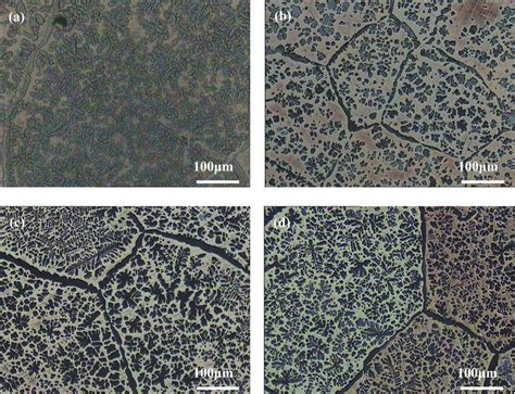 Microstructure of brass alloy with and without EPT (a) original sample,... | Download Scientific ...