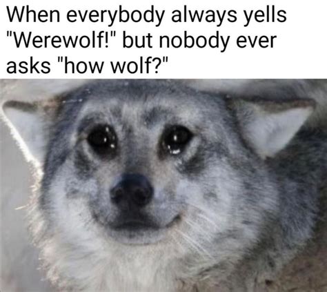 Sad Wolf :( - Meme subido por ultimateMEMEwolf :) Memedroid