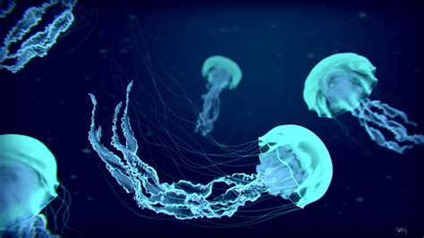 Jellyfish Wallpaper Stock Photos 34532 #5401 Wallpaper | Cool ... | Jellyfish | Pinterest | Quallen