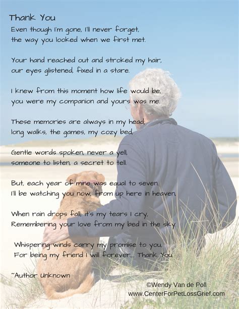 Pet Loss Poems to Support You! | Center for Pet Loss Grief