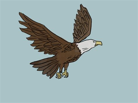 Flying Eagle Drawing at GetDrawings | Free download