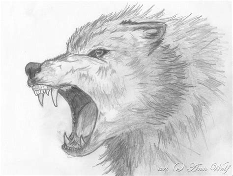 Angry Wolf | Angry wolf, Animal drawings, Wolf drawing