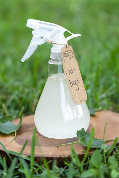 Homemade Bug Spray Mosquito Repellent (Essential Oils) - Raw Raw Life